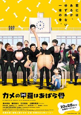 烏龜?shù)臍て鋵嵤抢吖?>
                                <div   id=