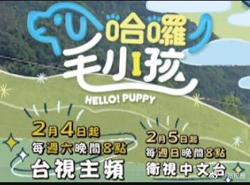 哈啰！毛小孩