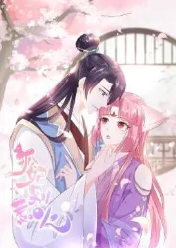 狐妃，別惹火