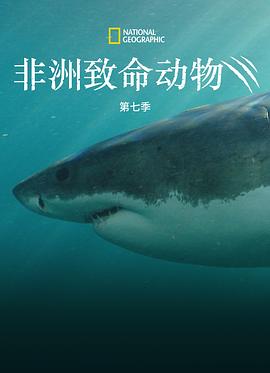 非洲致命動物第七季